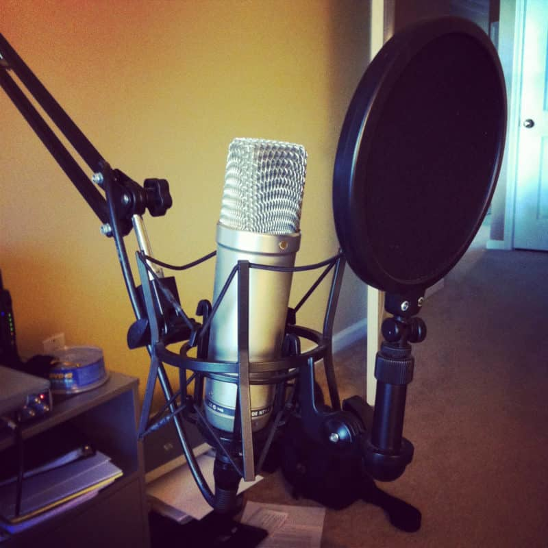 Professional Microphone