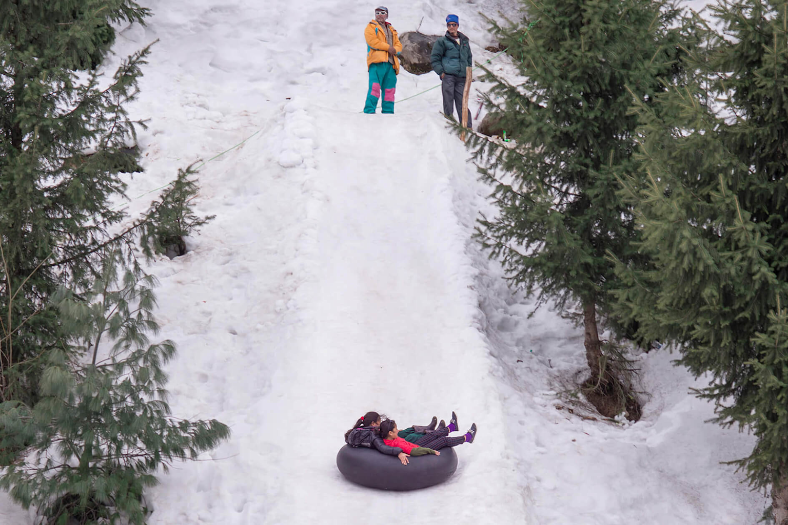 A person slides down a snow-covered slope on an inner tube at Solang Valley, Manali, surrounded by pine trees