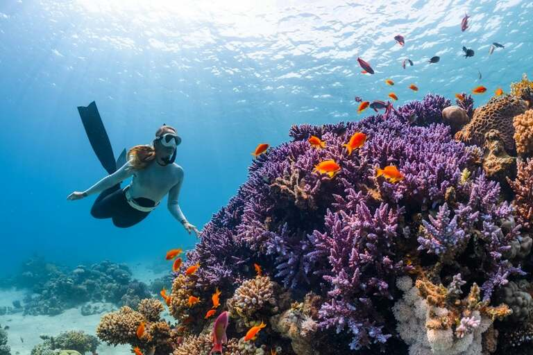 Snorkeling near vibrant coral reefs with colorful fish in the clear waters of the Lakshadweep Islands