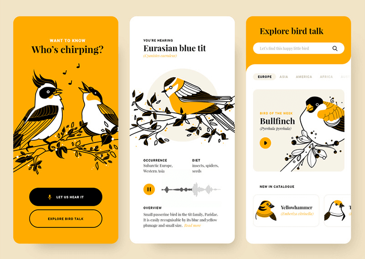 Example of a bird-watching app brochure design showing clear content structure and visual flow using hierarchy, color contrast, and navigation elements.