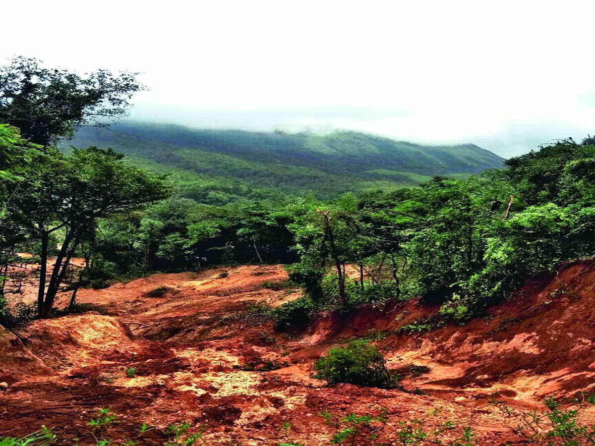 ಕರ್ನಾಟಕ ರಾಜ್ಯ ಪಶ್ಚಿಮ ಘಟ್ಟ ಸಂರಕ್ಷಣಾ ಸಮಿತಿ - Deforestation-andenenenen