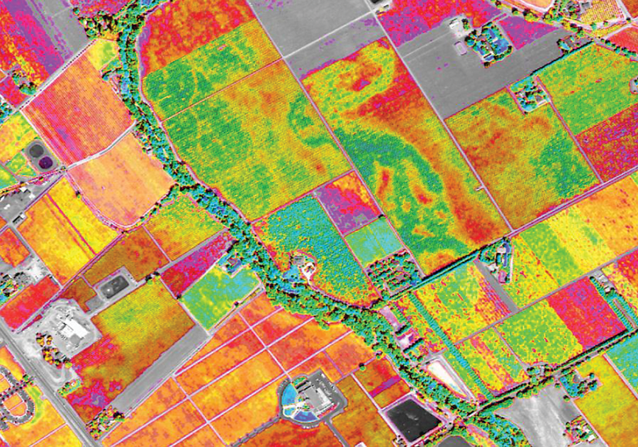 Crop Classification Analysis