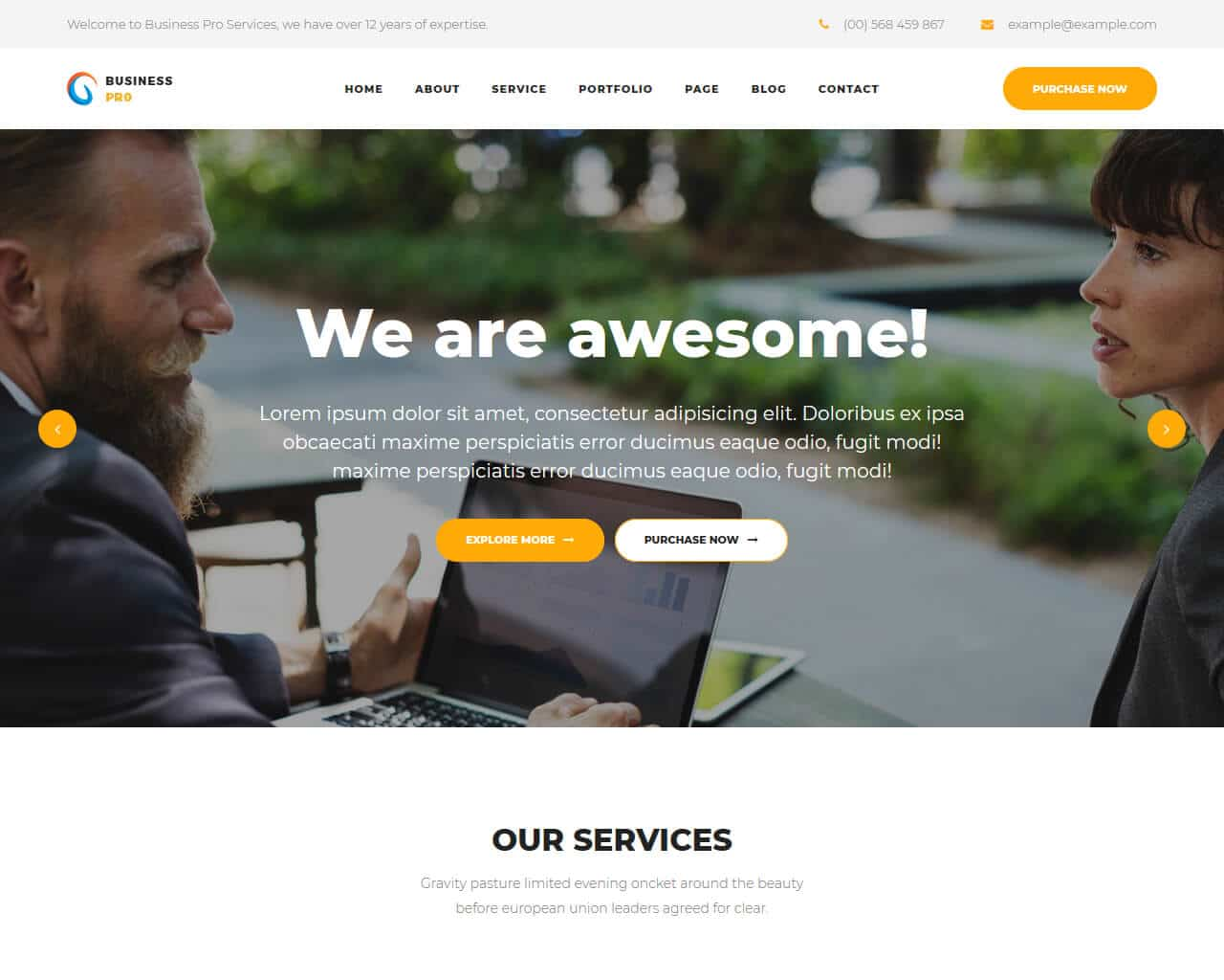 Professional business website template example