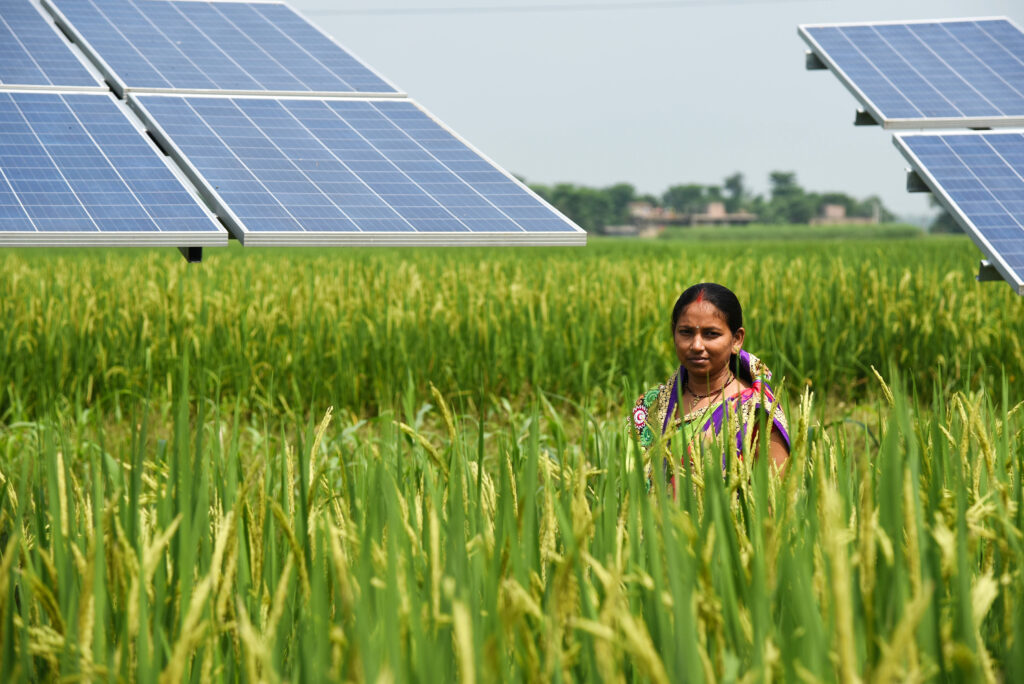 Agricultural Solar Pumping System in Chenchupeta