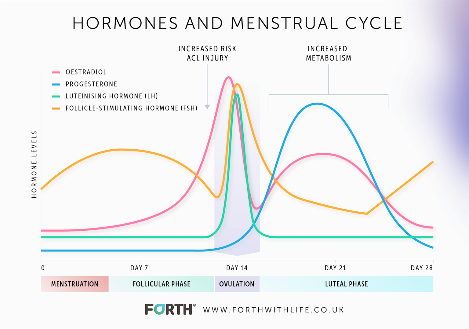 Hormone levels fluctuate across menstrual cycle phases, highlighting key points like ovulation and increased metabolism periods relevant for training optimization in women
