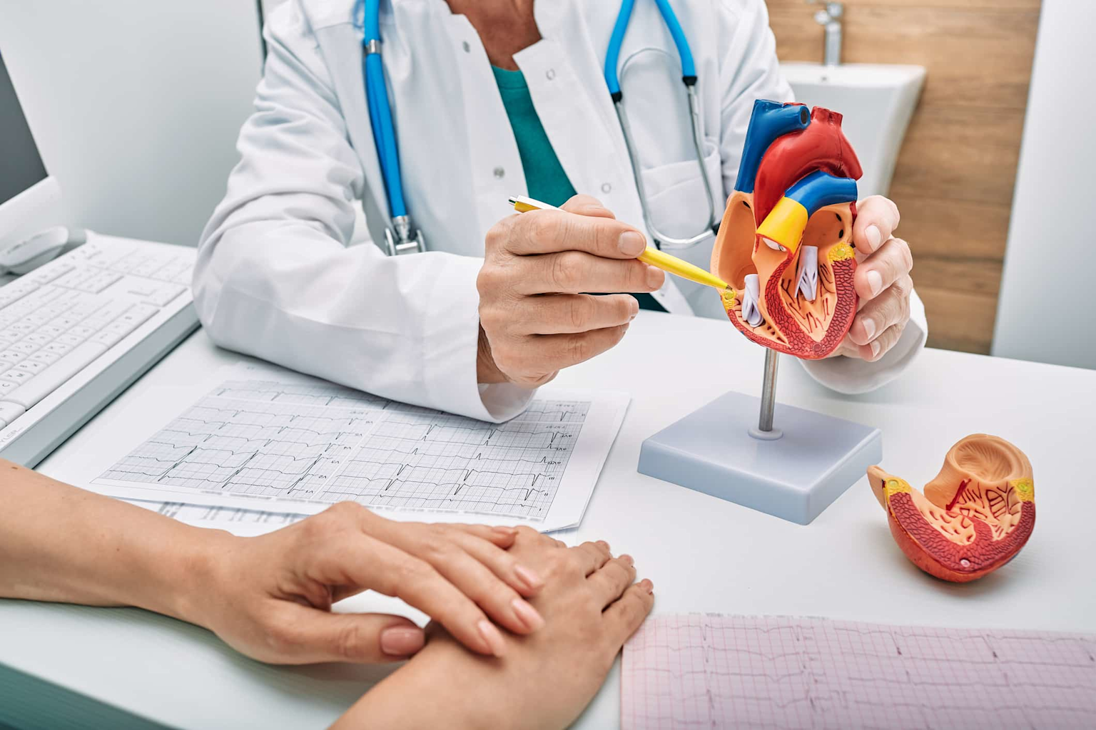 Cardiologist explaining the anatomy of the heart to a patient during a consultation with ECG printouts on the table