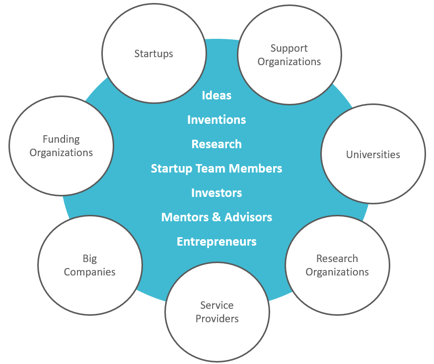 Startup Ecosystem
