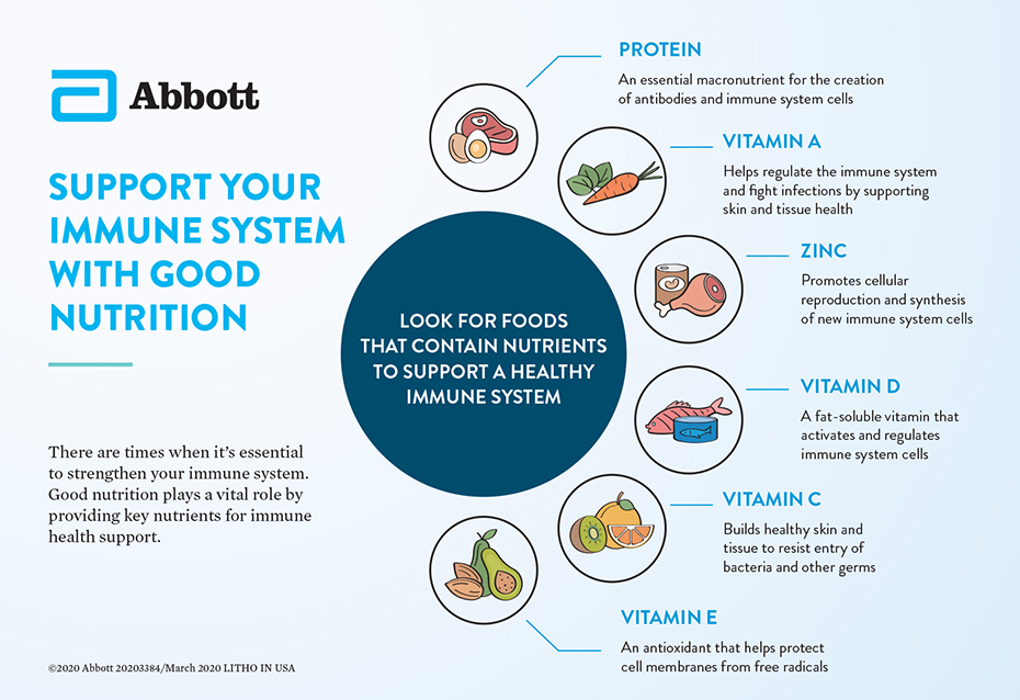 Key nutrients and foods that support a healthy immune system, including protein, vitamins A, C, D, E, and zinc