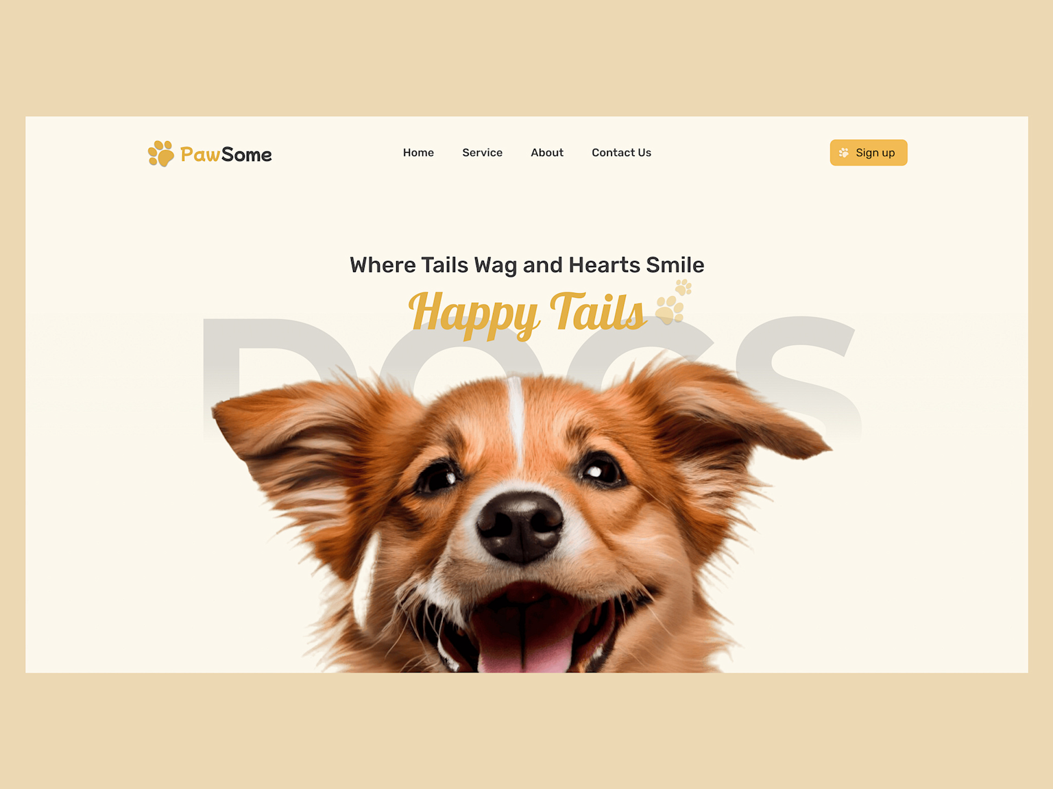 Exames - Pet feliz em website veterinário