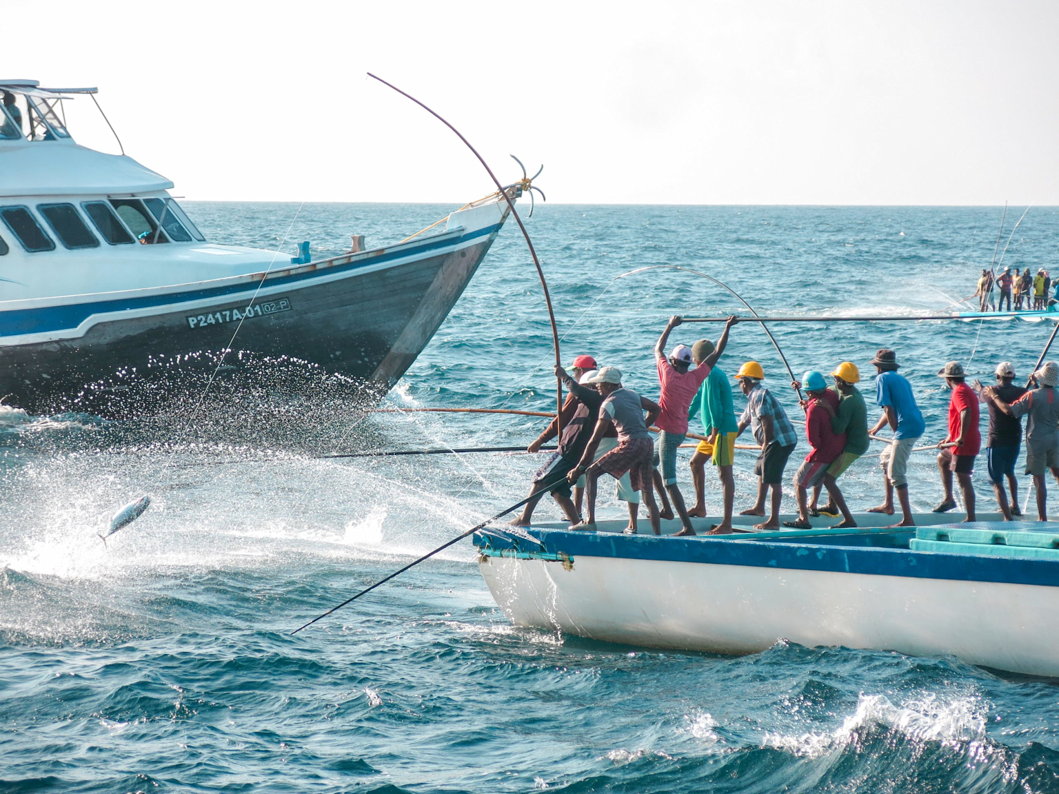 Local fishermen engaged in traditional communal fishing on small boats in the ocean, illustrating Maldivian island livelihoods and maritime culture