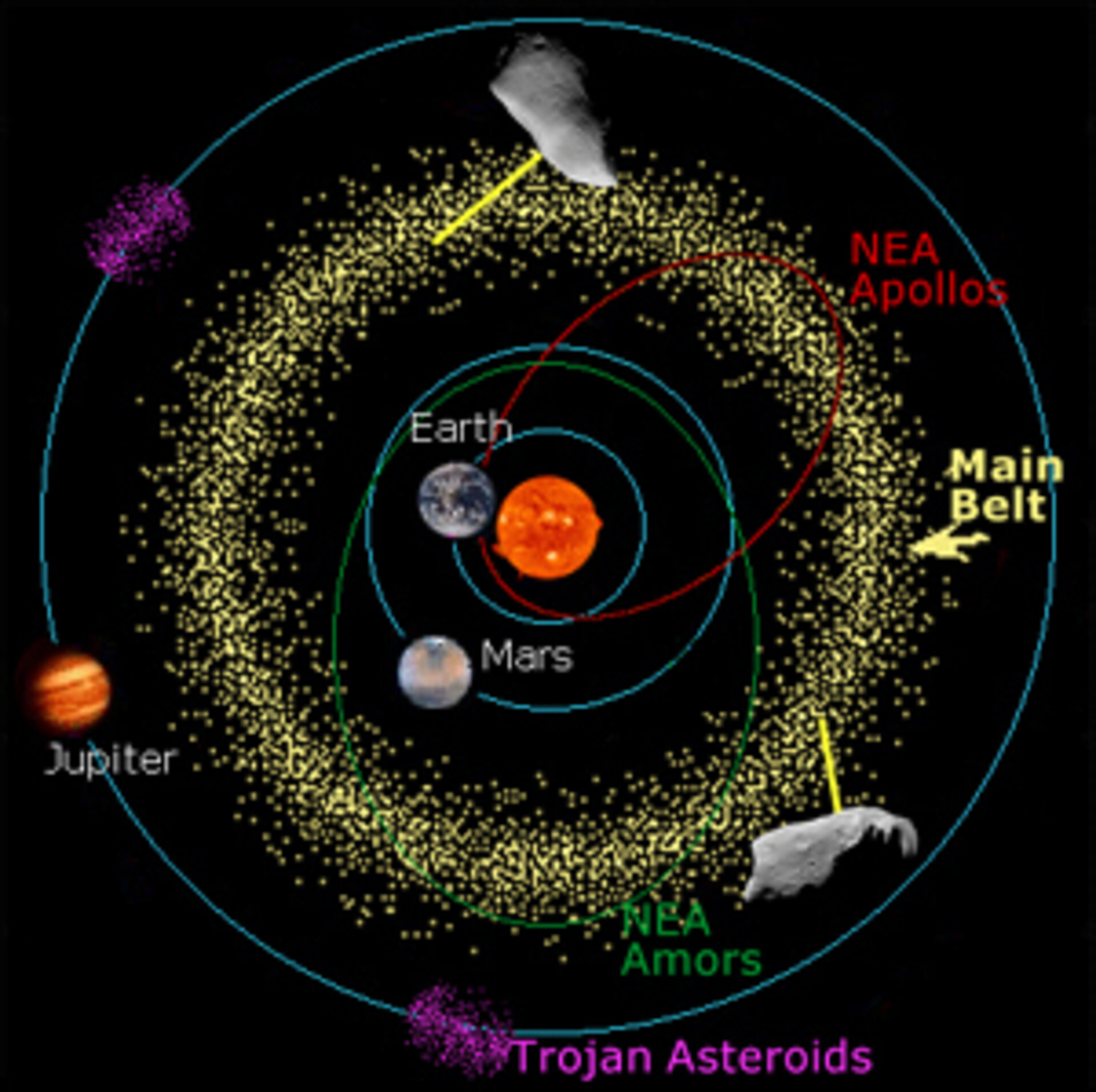Diagram showing the orbits of main belt, near-Earth Apollos and Amors asteroids, and Trojan asteroids relative to Earth, Mars, and Jupiter