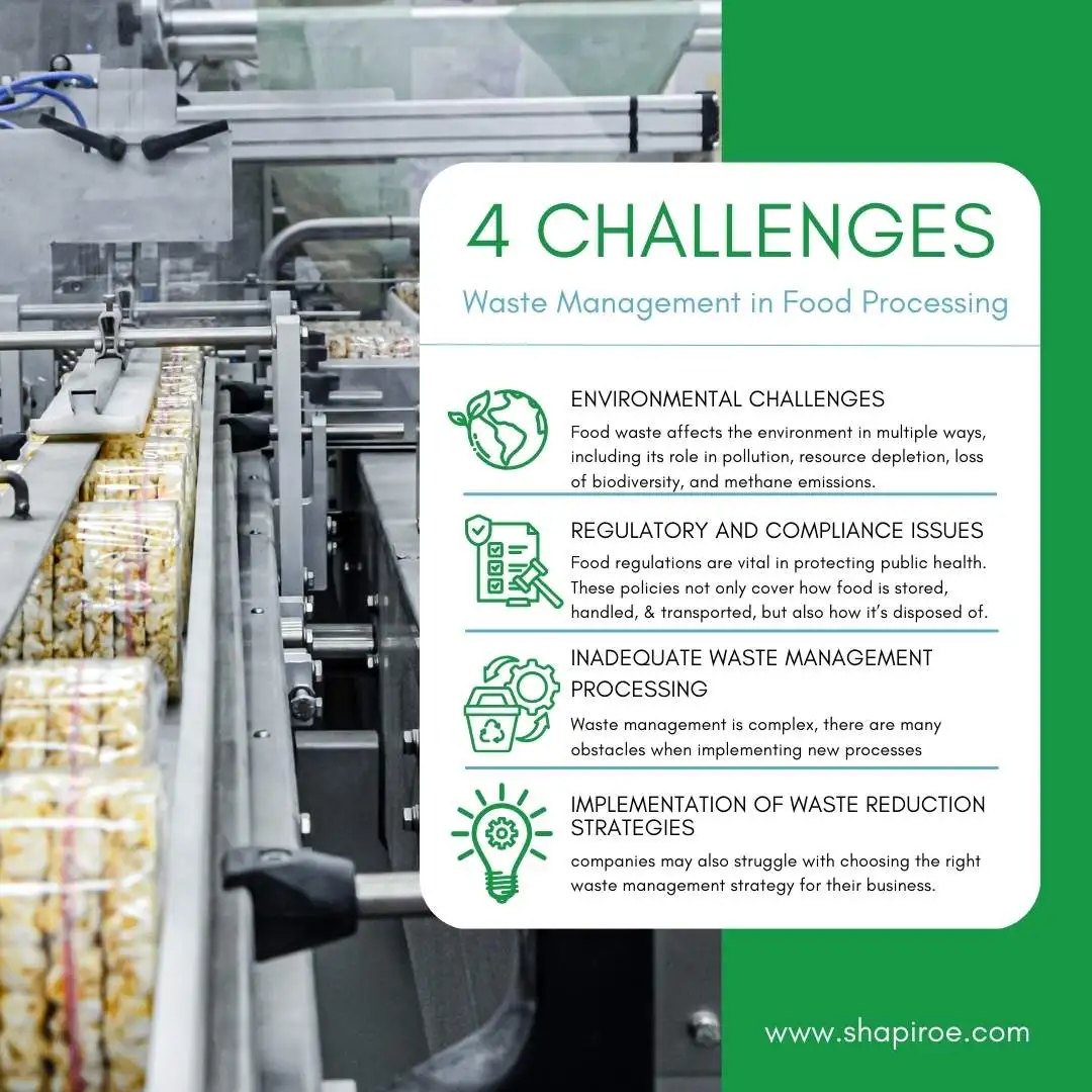 Four major challenges in waste management during food processing, highlighting environmental, regulatory, processing, and strategic issues