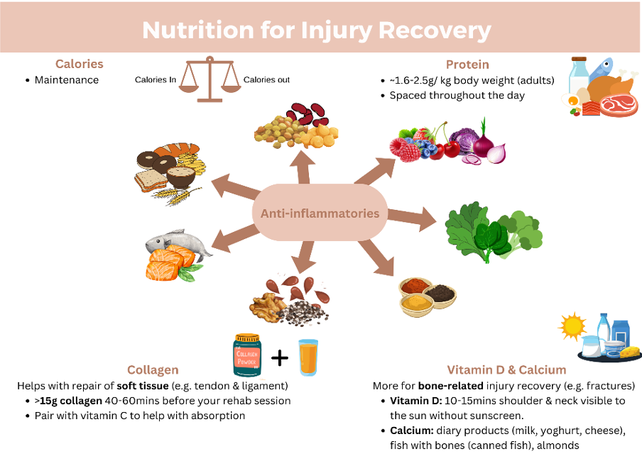 Nutrition guidelines for injury recovery emphasizing protein, collagen, vitamin D, calcium, and anti-inflammatory foods for tissue repair and bone healing