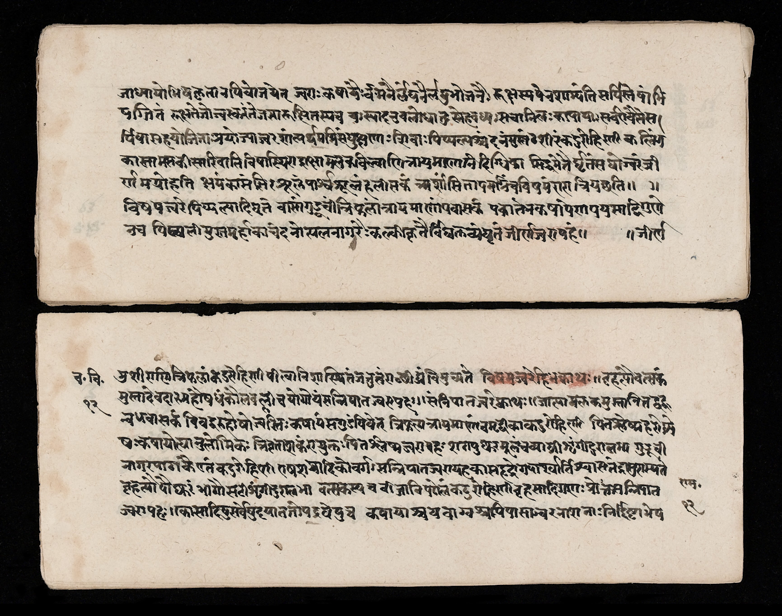 Ancient handwritten Ayurvedic manuscript in Devanagari script on aged paper