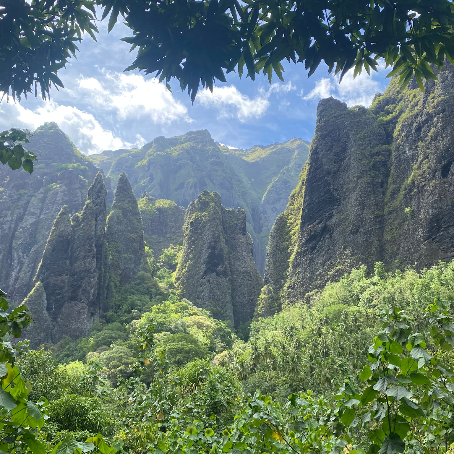 Dramatic cliffs and lush tropical mountains of Nuku Hiva, Marquesas Islands, framed by vibrant greenery under a bright sky