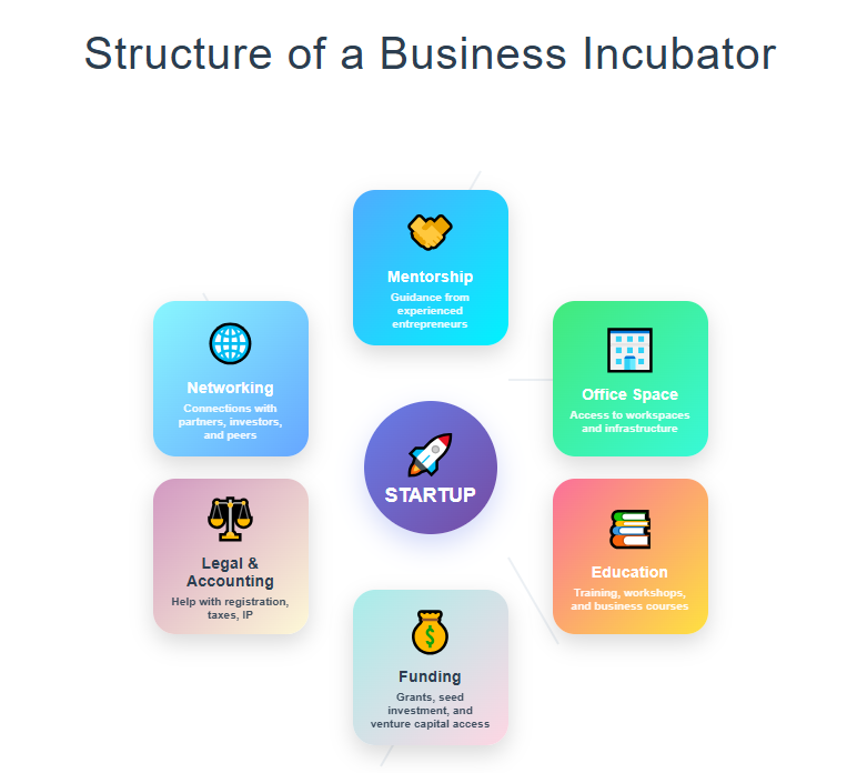 Business Incubator Structure