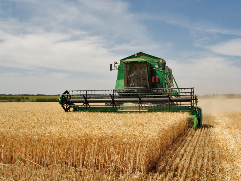 Crop Production - Harvesting