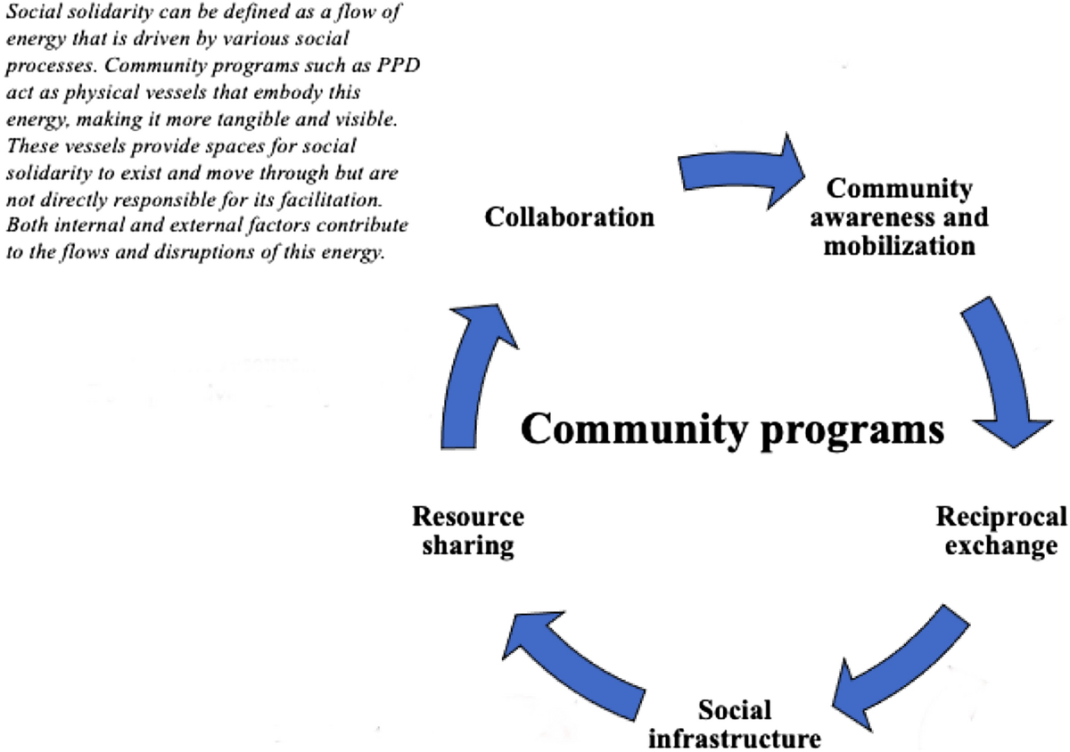Community programs facilitate social solidarity through collaboration, awareness, reciprocal exchange, infrastructure, and resource sharing