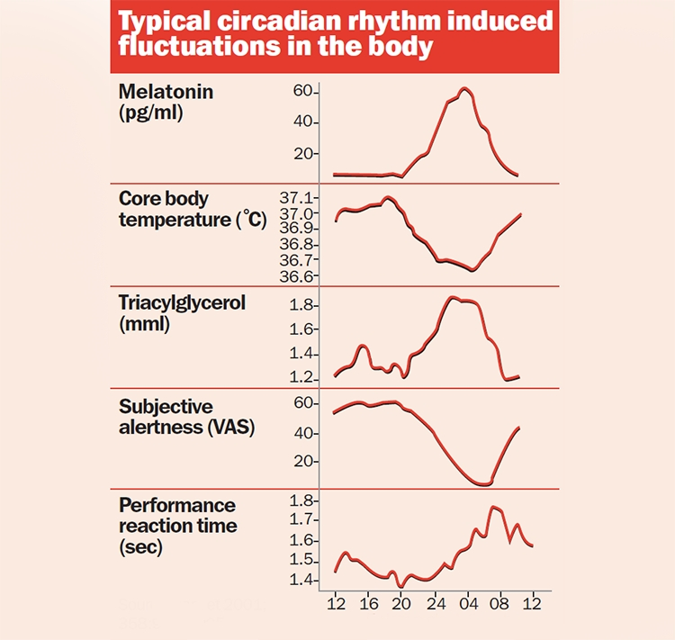 Typical circadian rhythm fluctuations in melatonin, body temperature, triglycerides, alertness, and reaction time over 24 hours