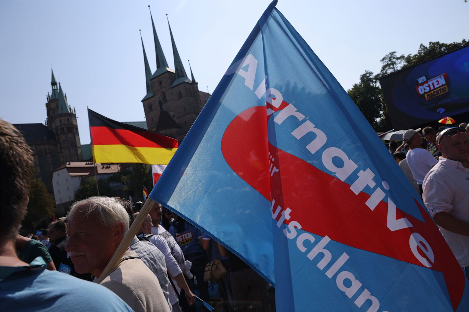 An Alternative for Germany (AfD) party flag and German national flag at a political rally in Germany