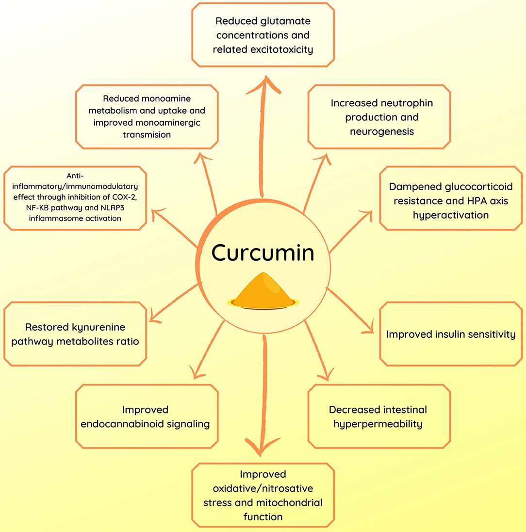 Curcumin's mechanisms in modulating biochemical pathways relevant to depression and neuroinflammation