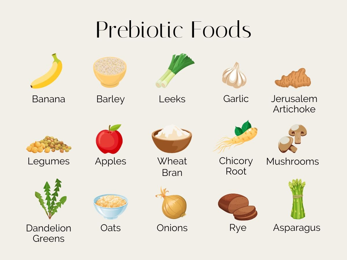 Illustrations of 15 common prebiotic foods including fruits, vegetables, grains, and roots that support gut health