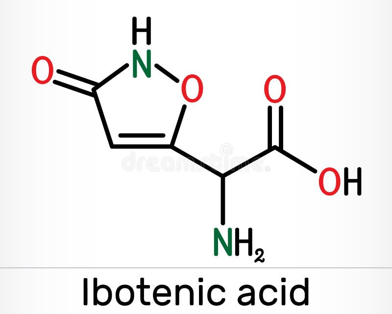 Chemical structure of ibotenic acid showing atoms and molecular bonds
