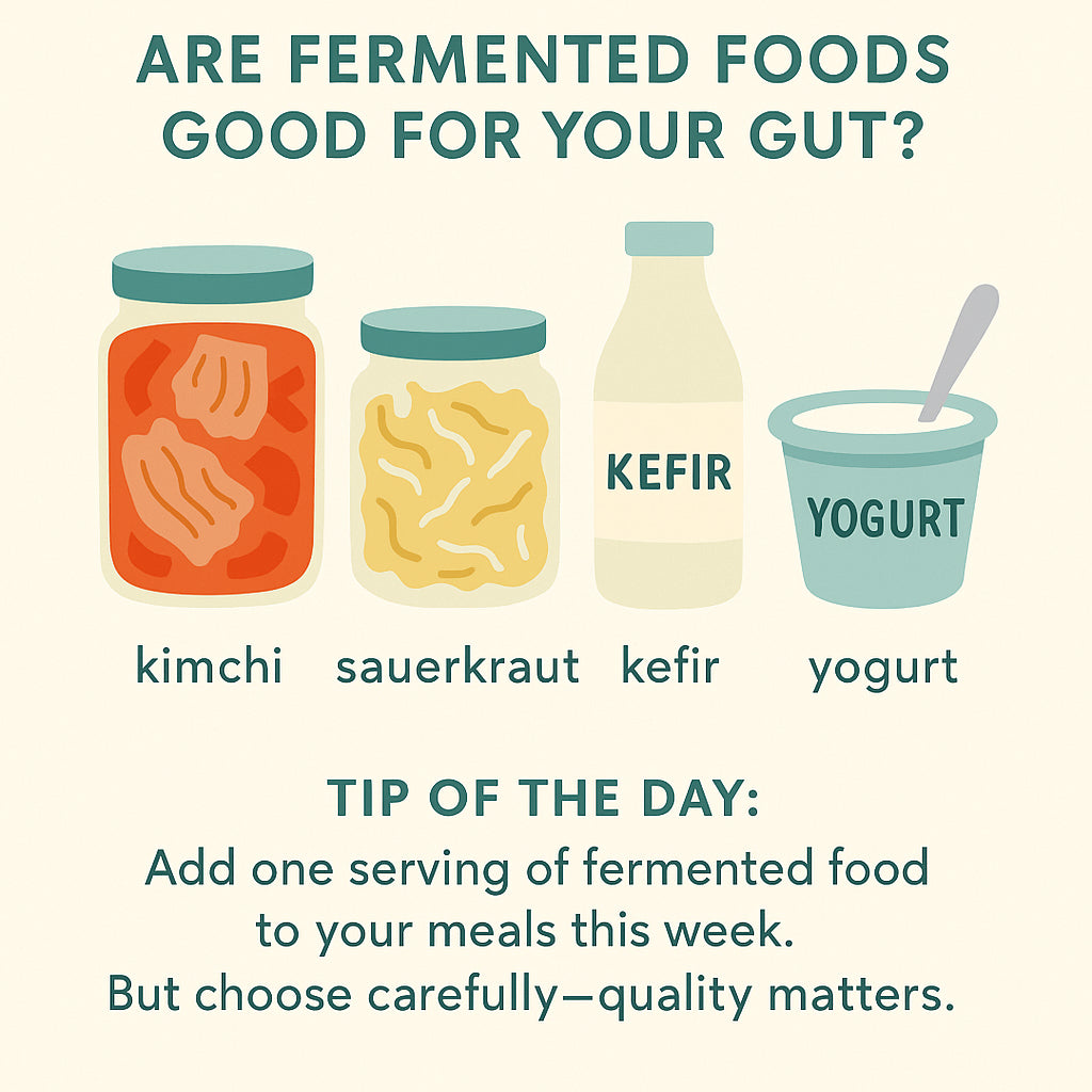Fermented foods like kimchi, sauerkraut, kefir, and yogurt support gut health and can benefit the microbiome especially in older adults