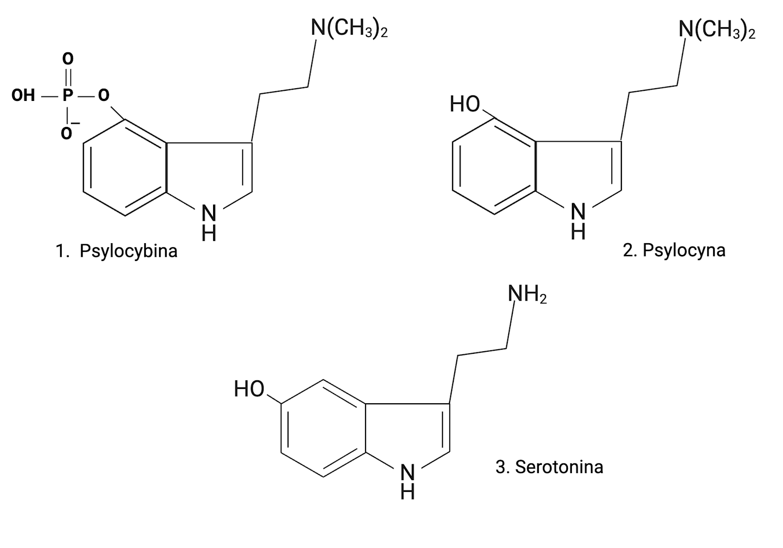 Chemical structures of psilocybin, psilocin, and serotonin showing molecular similarities relevant to serotonergic activity