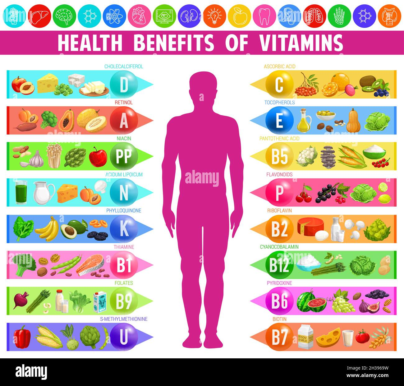 Natural food sources of vitamins and their health benefits illustrated with a human body silhouette infographic