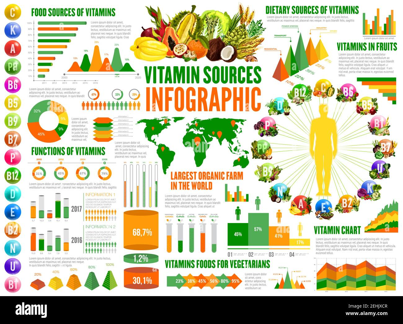 Infographic showing natural vitamin sources, vitamin functions, and dietary data with fruits and vegetables illustrations and charts