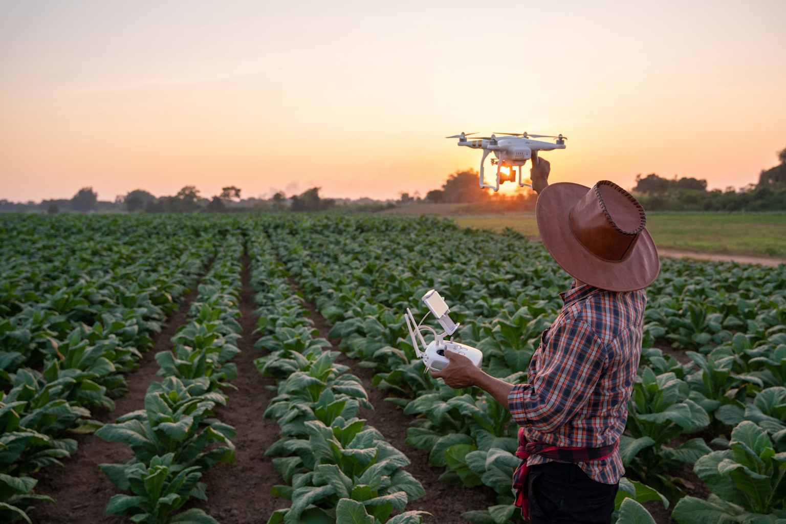 Agricultural Technology