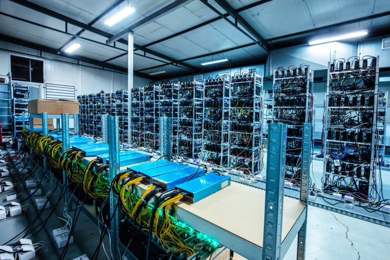 A large, organized cryptocurrency mining farm with rows of mining rigs powered by graphics cards and interconnected cables.