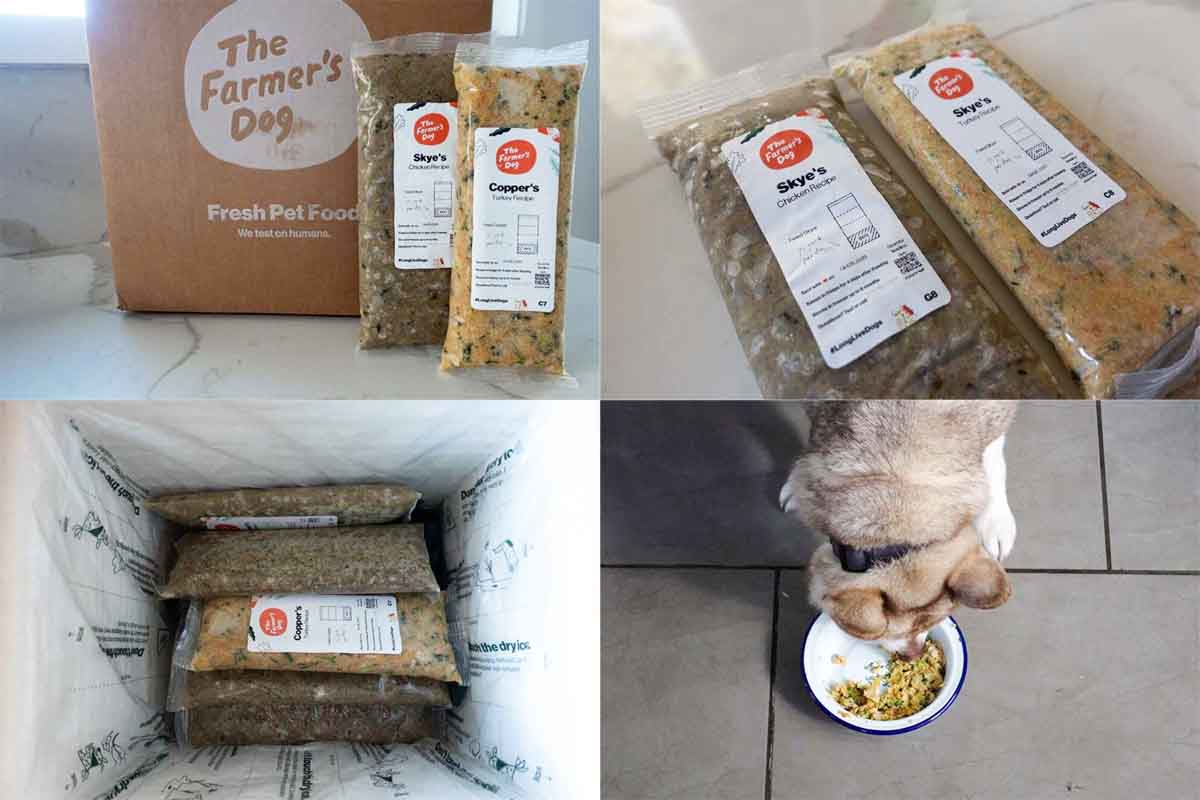 The Farmer's Dog fresh pet food packaging, delivery setup, and a dog enjoying a meal prepared from the brand's fresh recipes