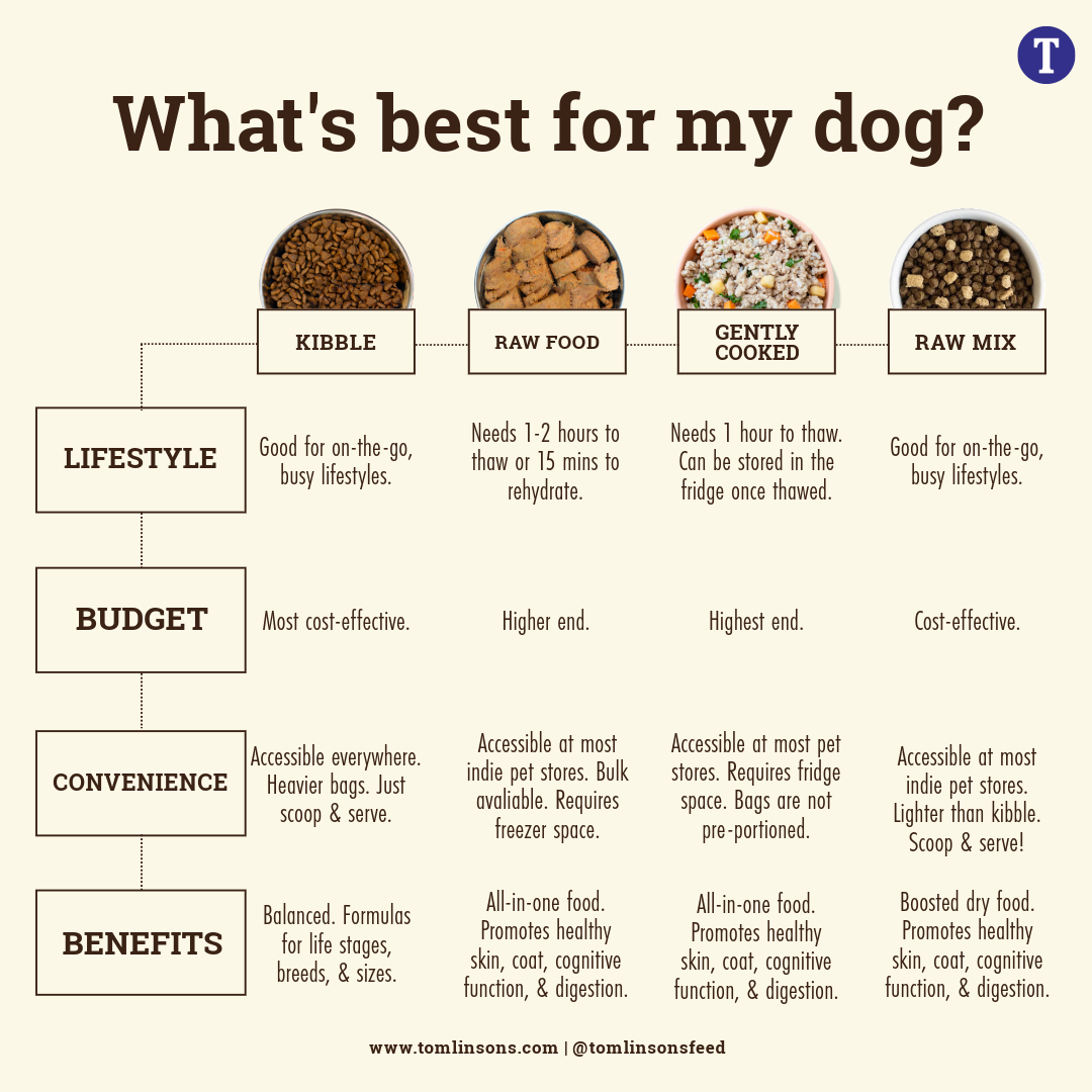 Comparison chart showing differences among kibble, raw food, gently cooked, and raw mix dog food in lifestyle fit, budget, convenience, and benefits