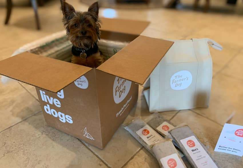 A small dog sits inside The Farmer's Dog delivery box alongside fresh pet food packets and an insulated carrier, illustrating the unboxing experience
