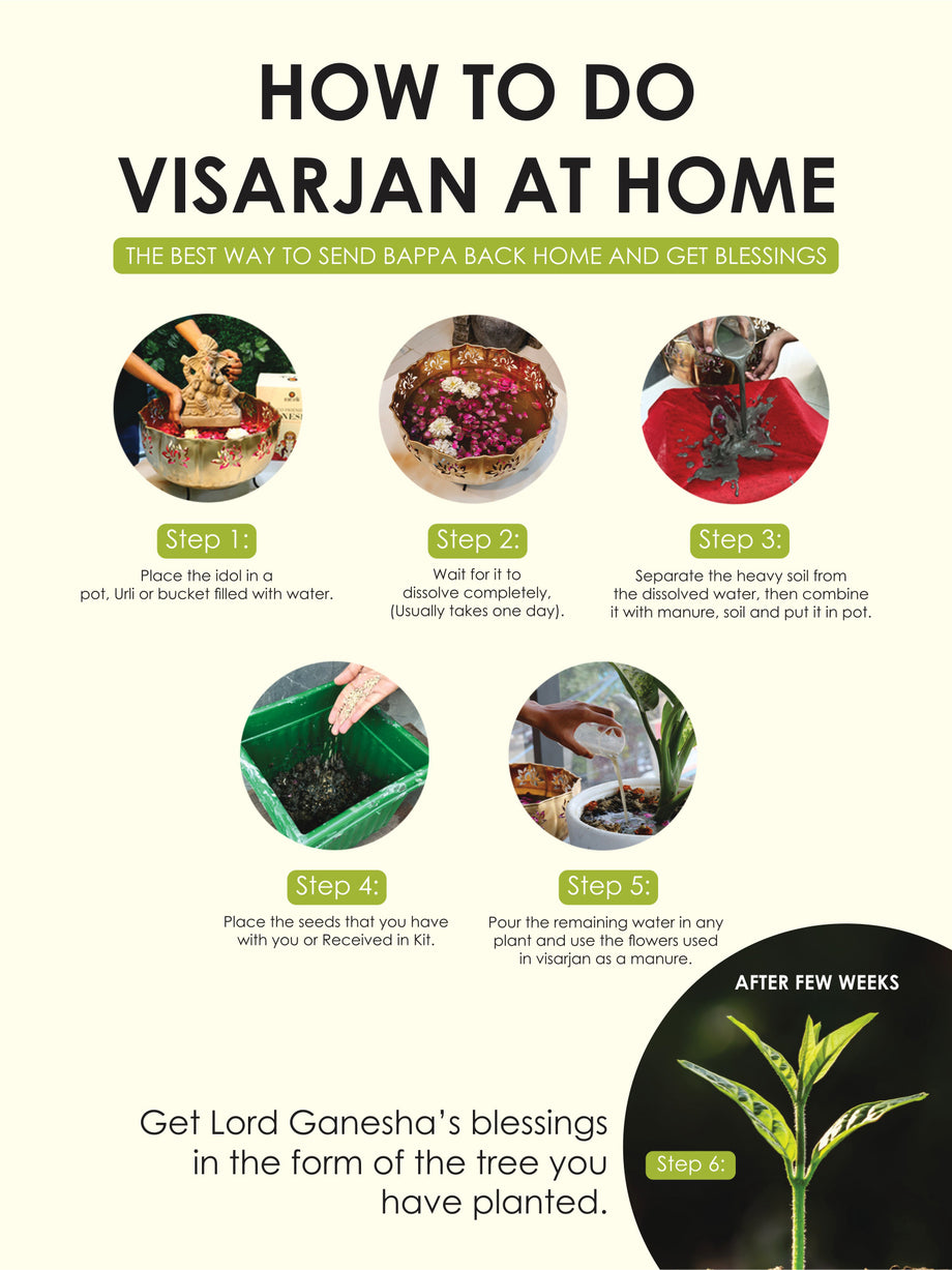 Step-by-step guide to performing eco-friendly Ganesh Visarjan at home using Bappa's Tree seed Ganesha idol for a sustainable celebration