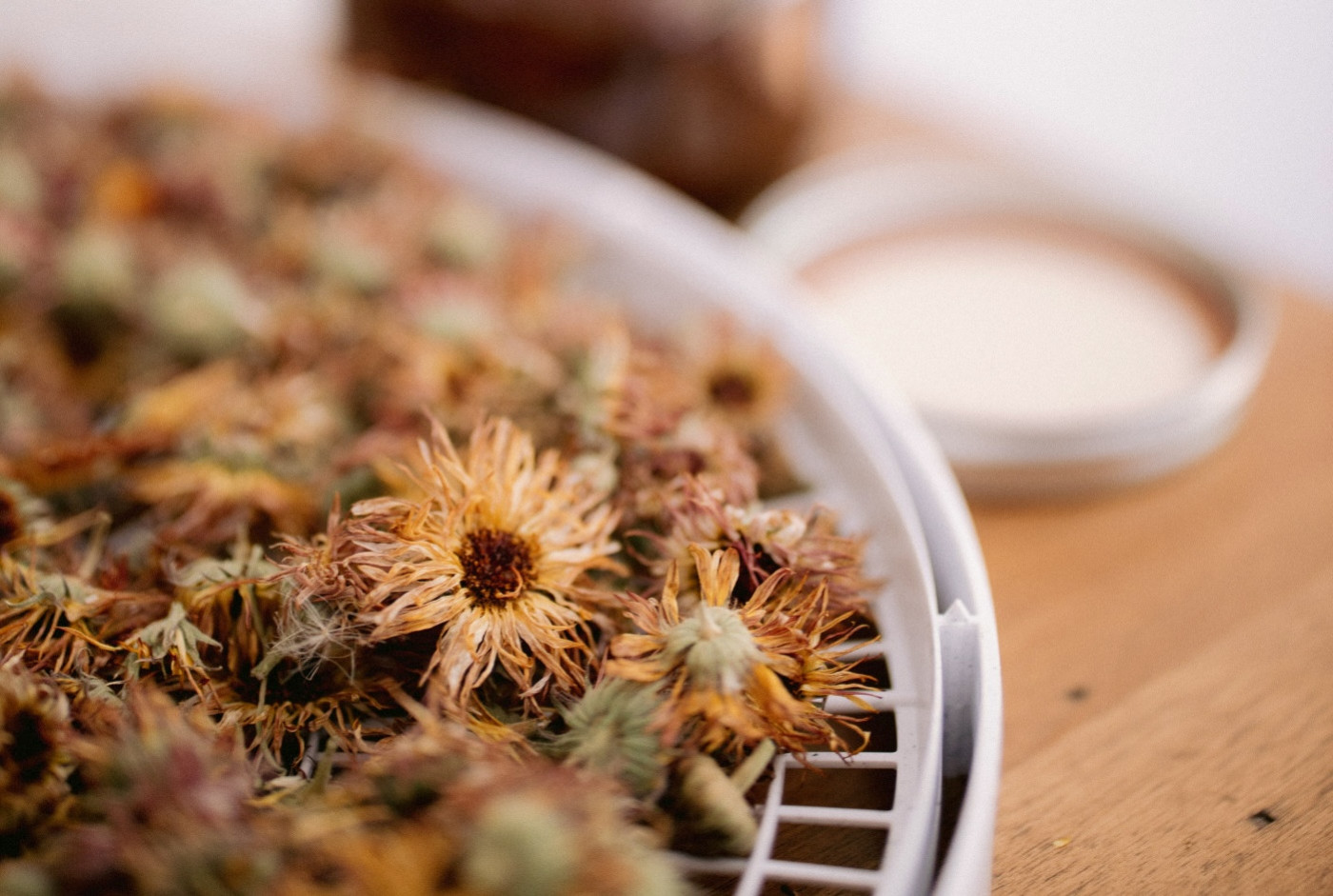 Dried calendula flowers on a tray ready for use in herbal preparations or tea