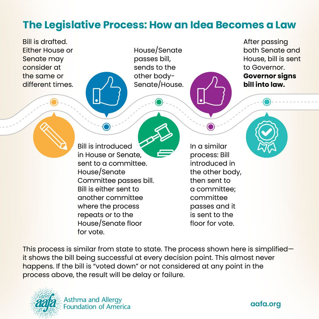Infographic illustrating the step-by-step legislative process of how a bill becomes law with icons and color-coded stages