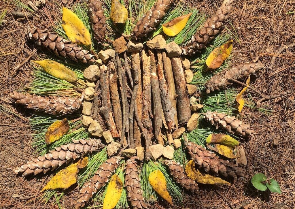Nature-inspired art installation using sticks, stones, pine needles, cones, and leaves arranged in a circular mandala pattern on the forest floor