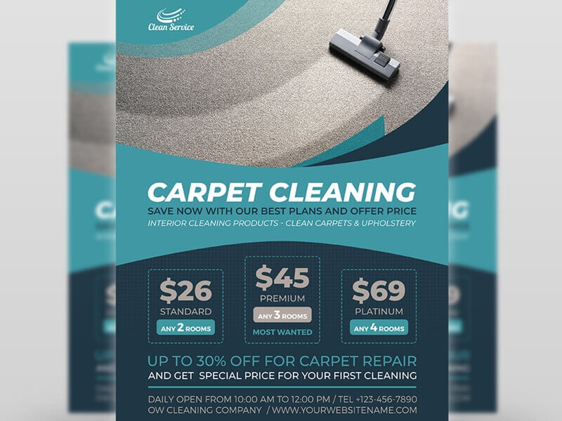 A clean and simple carpet cleaning flyer design with clear pricing plans and concise messaging.