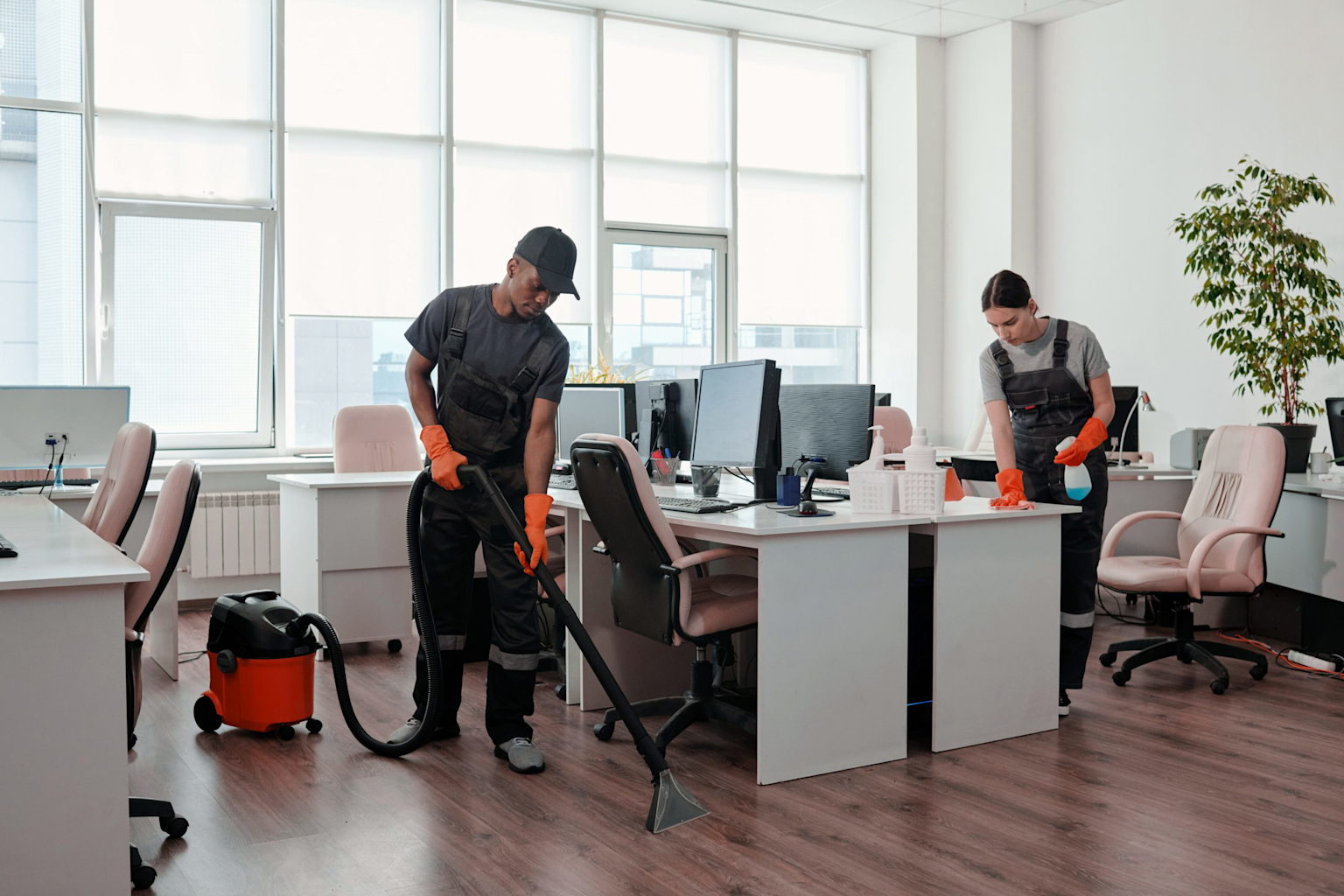 Professional Cleaning Services