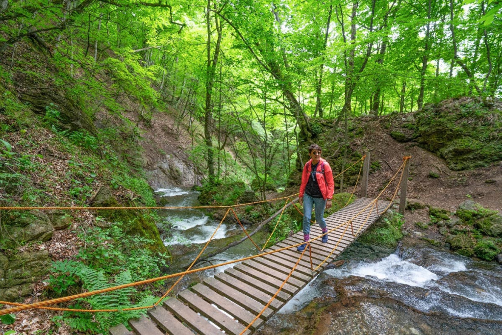 Suspension bridge over a flowing stream in Dilijan National Park's lush forest, Armenia