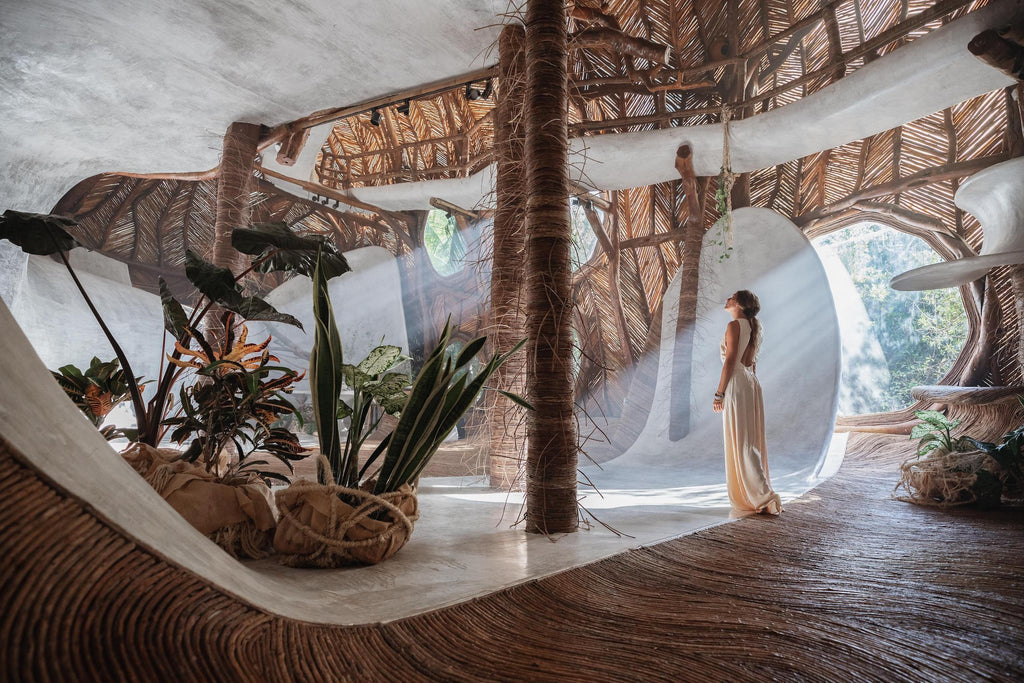 Interior space showcasing biophilic design with natural materials and organic shapes inspired by nature