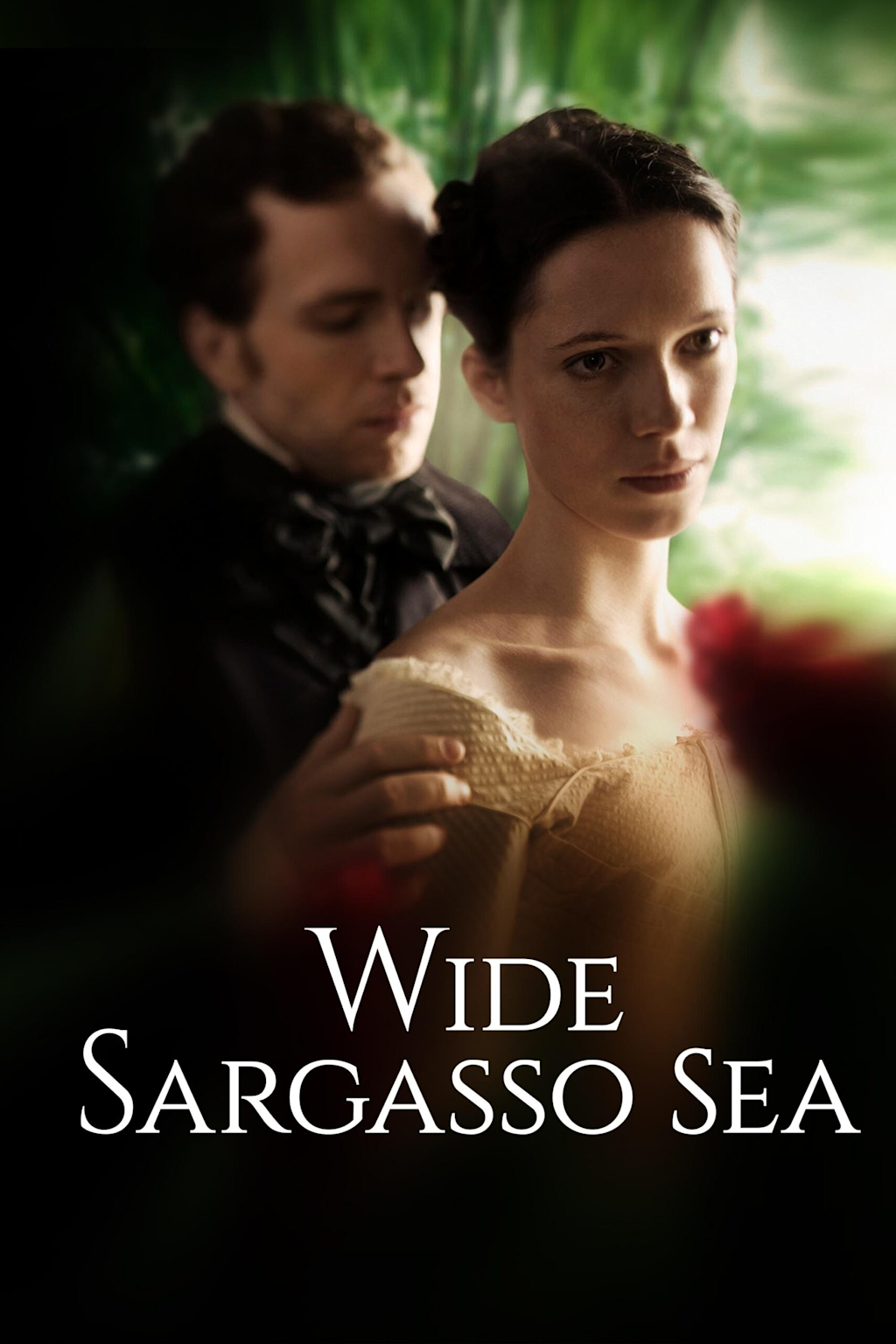 Cover image of 'Wide Sargasso Sea,' a seminal postcolonial feminist novel by Jean Rhys