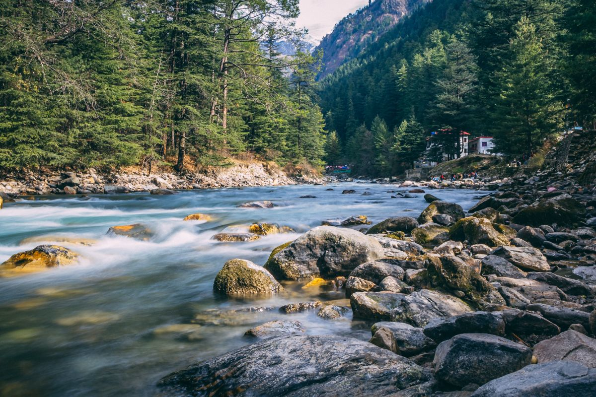 The serene Parvati River flowing through the lush green Kasol valley in Himachal Pradesh, a key highlight for travelers on a Himachal road trip