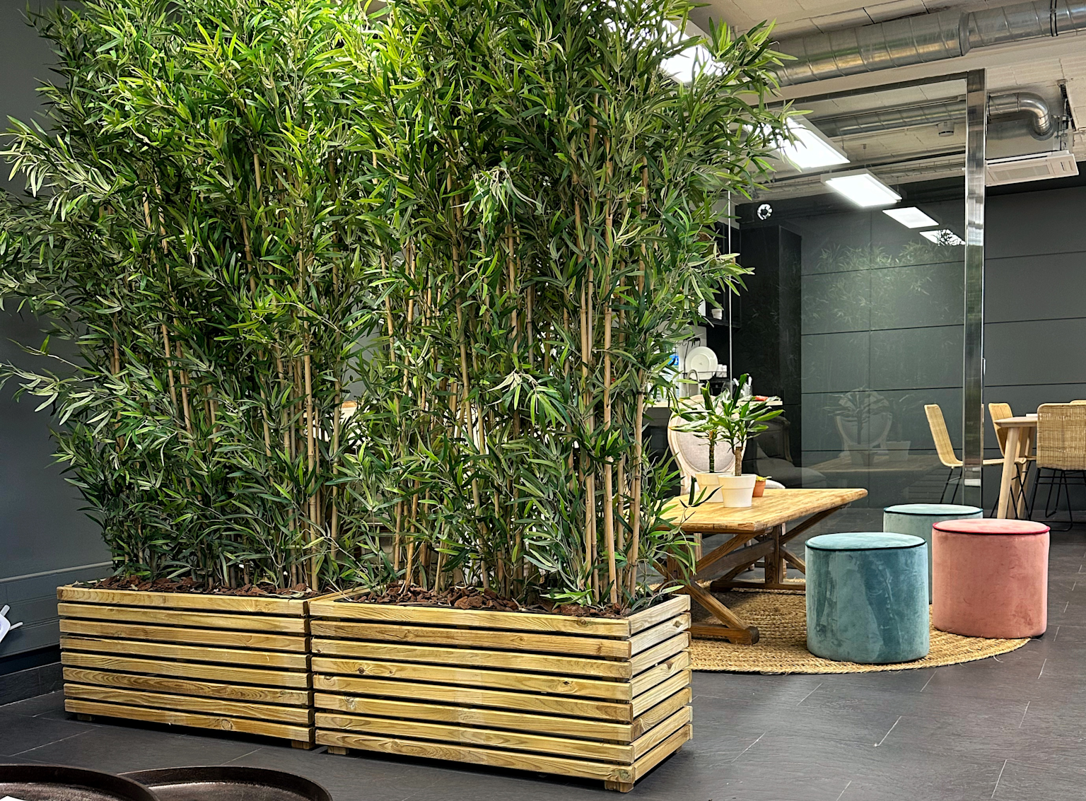 Natural plant divider in wooden planters separates living spaces in an apartment without construction