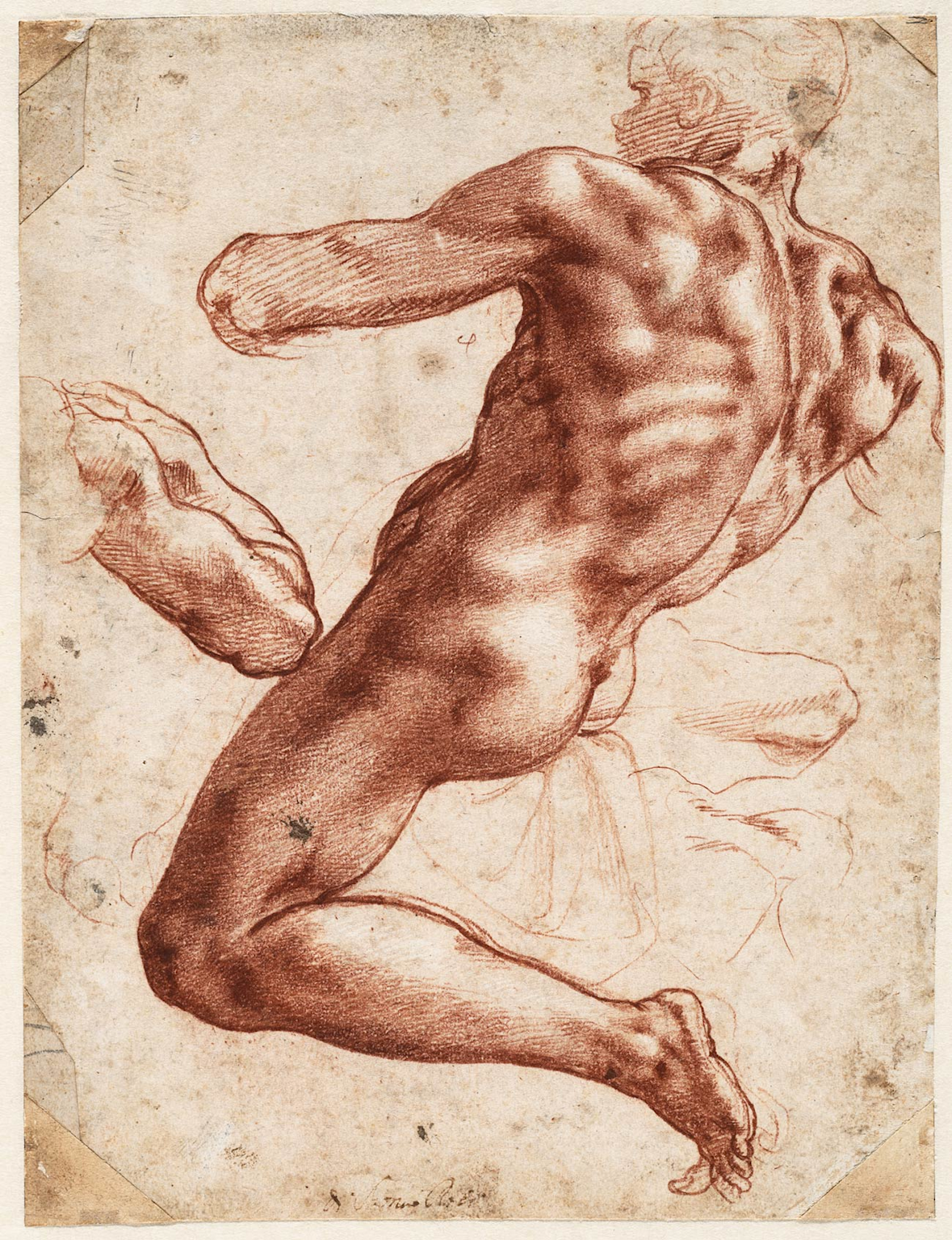 Michelangelo's anatomical sketch highlights the foundational role of sketching in mastering proportion, form, and movement in art