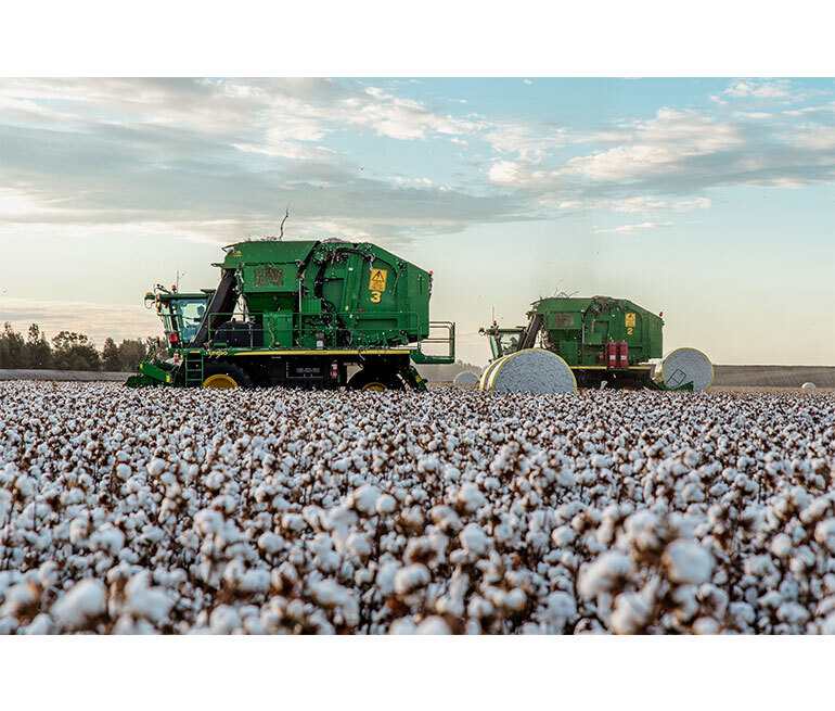 Cotton Harvesting and Biomass Collection
