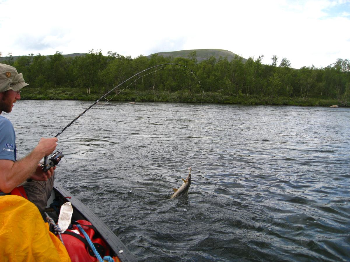 Angler im Boot mit gefangenem Fisch